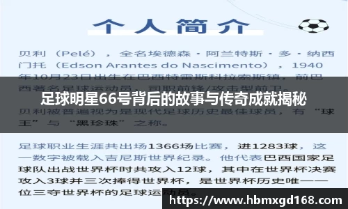 足球明星66号背后的故事与传奇成就揭秘